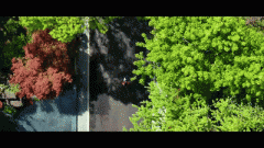 《中华人平易近法律王法公法》的